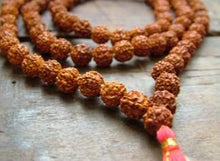 Load image into Gallery viewer, Lakshmi Collection Bracelet Wrap Energy Power Rudraksha - sunnybeachjewelry