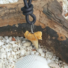 Load image into Gallery viewer, Leather Surfer Necklace Handmade Light Shark Tooth - sunnybeachjewelry