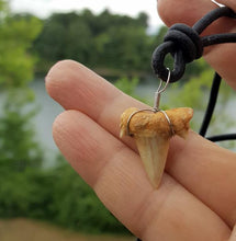 Load image into Gallery viewer, Leather Surfer Necklace Handmade Light Shark Tooth - sunnybeachjewelry
