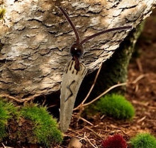 Load image into Gallery viewer, Sowilo Sun Amulet – Viking Antler Rune Pendant for Strength &amp; Protection
