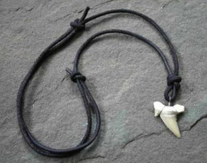 Leather Surfer Necklace Handmade Light Shark Tooth - sunnybeachjewelry